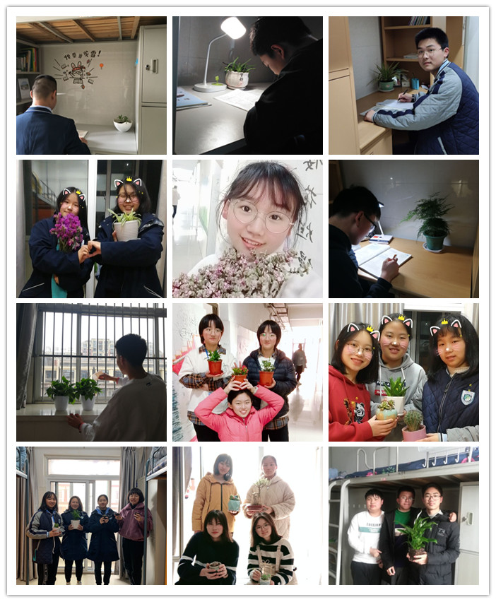 生活部：我和春天有一個(gè)“約會”(圖3)