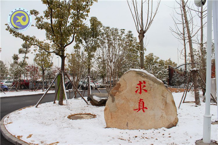 雪園“石頭記”，最美是氣質(zhì)(圖2)