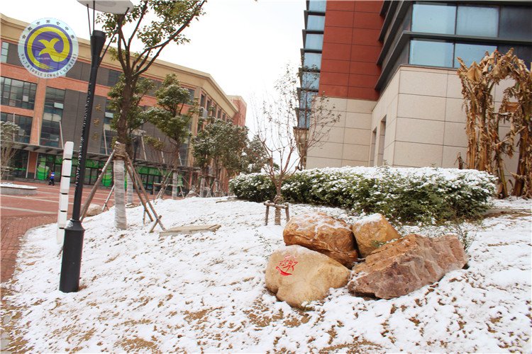 雪園“石頭記”，最美是氣質(zhì)(圖14)