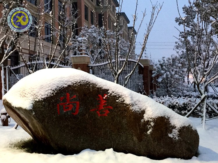 雪園“石頭記”，最美是氣質(zhì)(圖3)