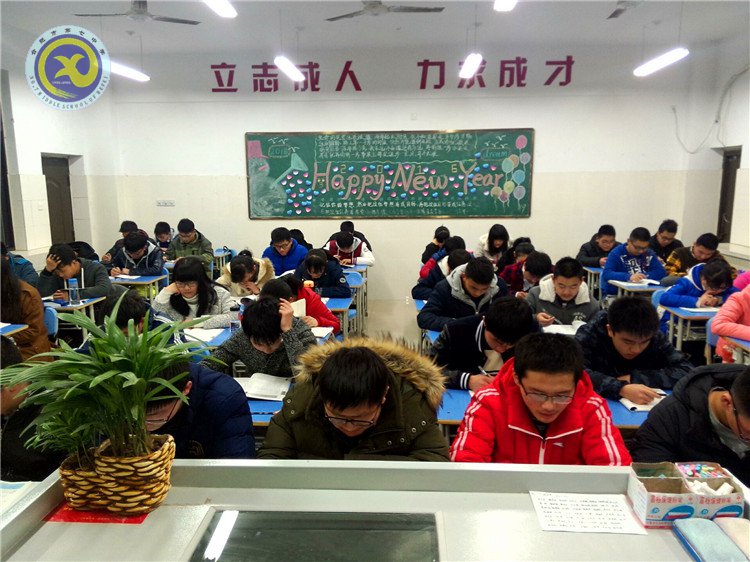 與時俱進抓創(chuàng)建  文明之花香滿園(圖13)