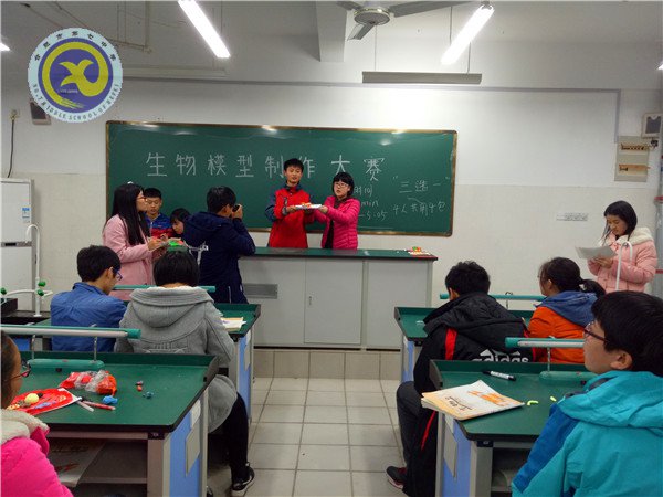制作生物模型 體驗(yàn)生命奧秘(圖1)