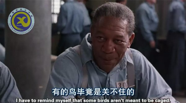 暢享視聽之趣，延伸課堂之美(圖2)
