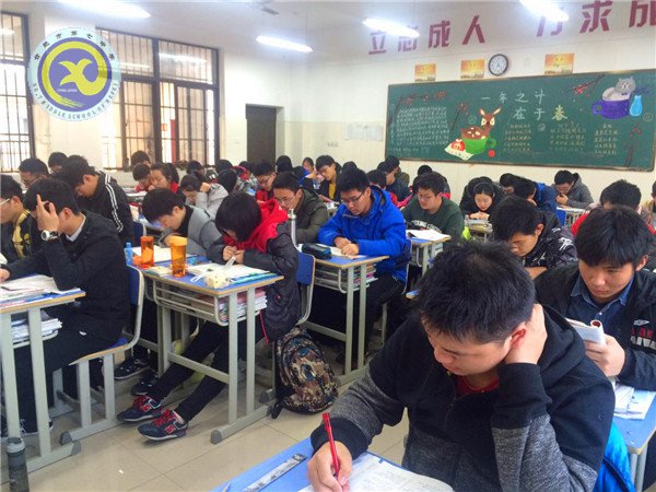 優(yōu)質(zhì)高效早讀 激發(fā)讀書熱情(圖1)
