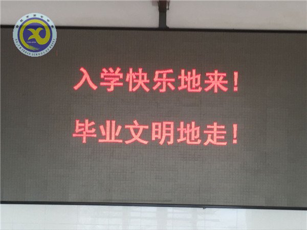 曲終人散情未盡，留得愛心滿校園(圖4)