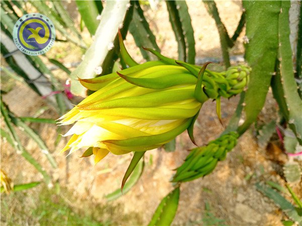 合肥七中第一屆生物組教育教學(xué)研討年會(huì)順利召開(kāi)(圖10)