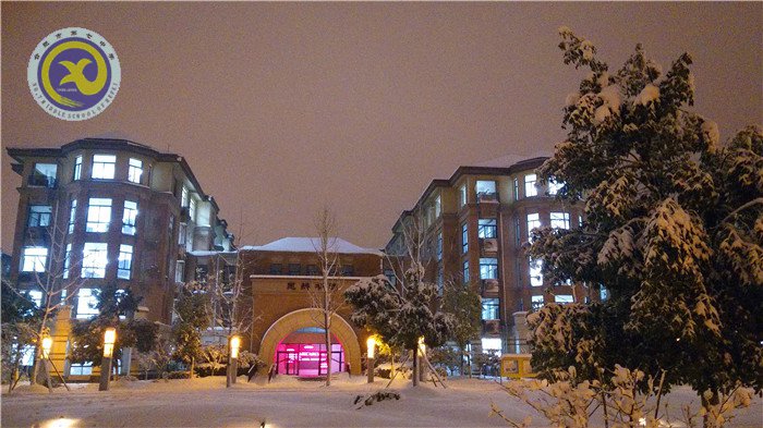 梅雪盼冬來(lái)，微笑迎春歸(圖13)