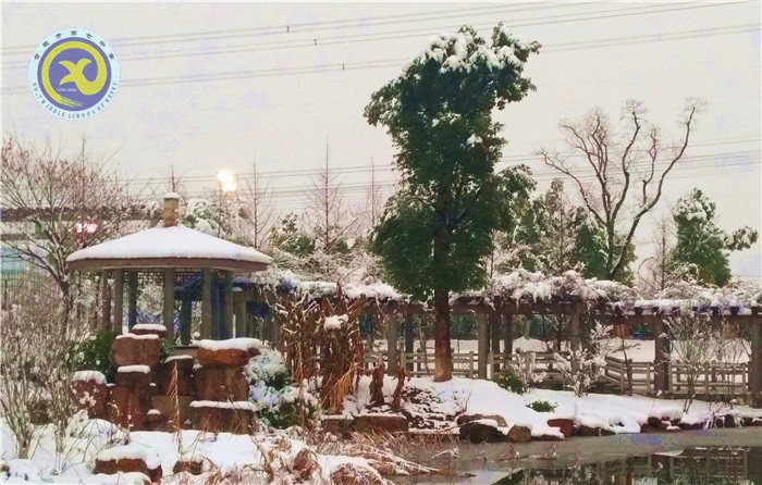 梅雪盼冬來(lái)，微笑迎春歸(圖8)