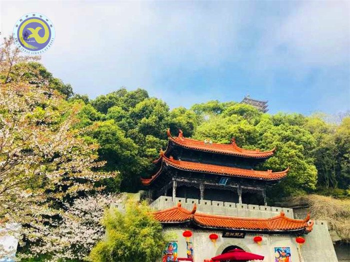 格世間萬物，知自然之理(圖3)
