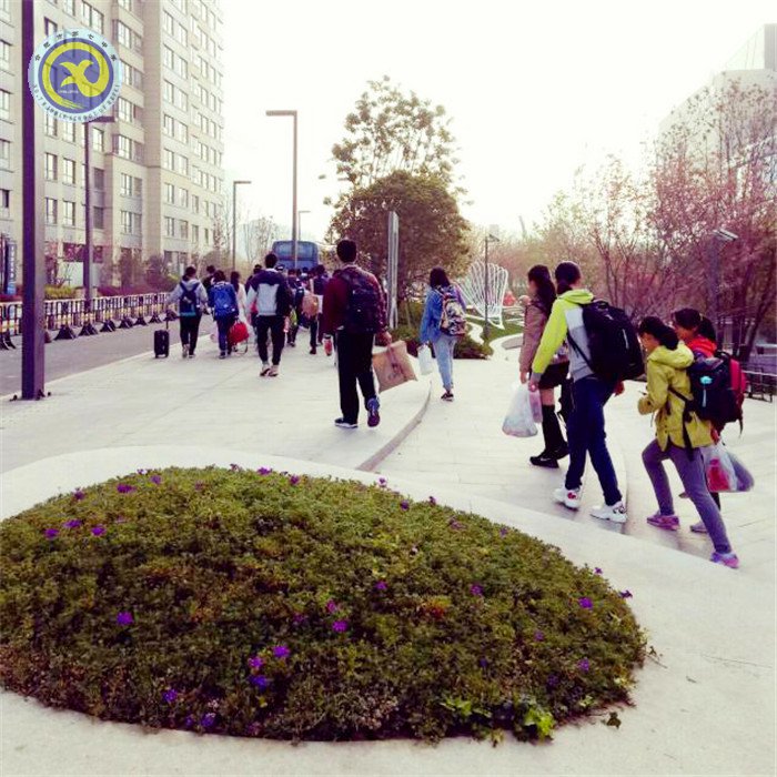 離時(shí)古寺西邊路，莘莘學(xué)子滿(mǎn)目中(圖1)