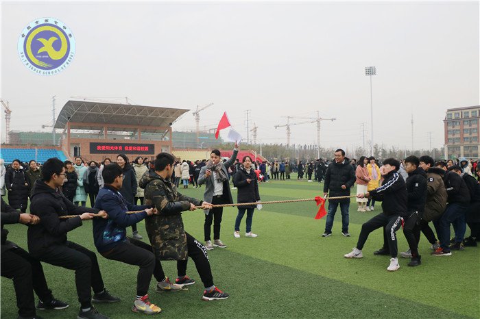 凝心聚力拔河賽，辭舊迎新戰(zhàn)高三(圖1)