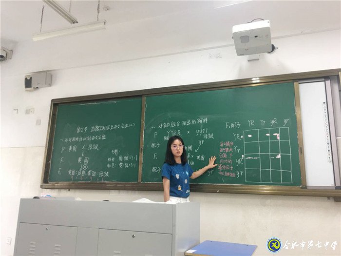 獨(dú)木不成林，集體有力量(圖4)