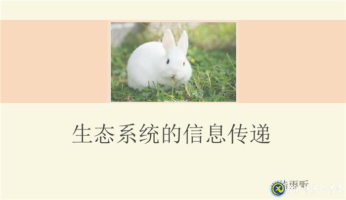 6月23日實(shí)習(xí)手記：實(shí)踐、感恩、拼搏(圖3)