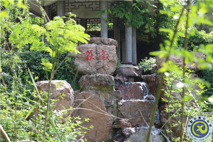 合肥七中、肥西農(nóng)興中學聯(lián)合倡議書(圖6)