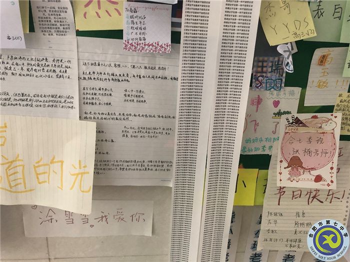 因為懂得，所以愛戴(圖4)