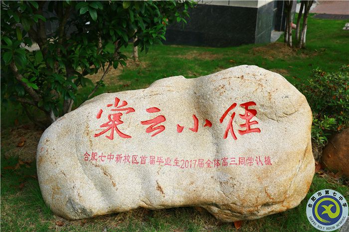 七中七心（二）——辦好人民滿意的教育，社會安心！(圖7)