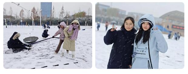 寶藏學(xué)校：每個人都期待，雪花所帶來的“活潑潑”的生命(圖10)