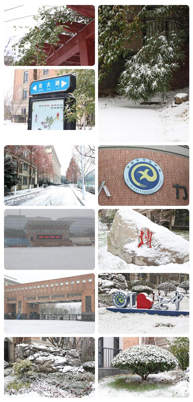 寶藏學(xué)校：每個人都期待，雪花所帶來的“活潑潑”的生命(圖5)