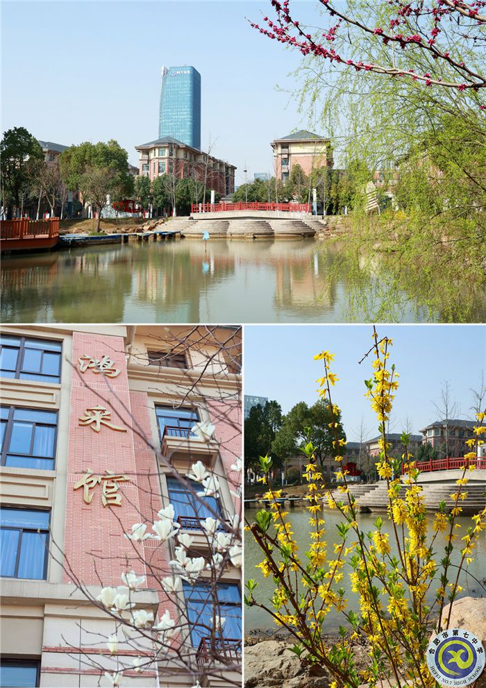 七中游，春日繽紛花滿頭(圖1)